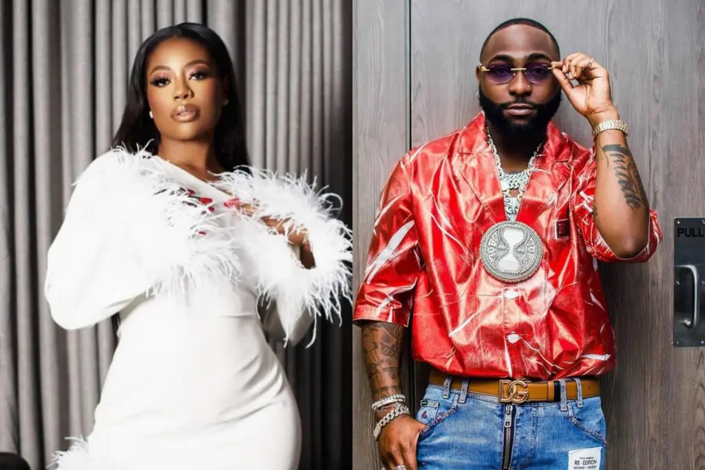 Stop Calling Me Davido’s Wife — Sophia Momodu Tells Fans