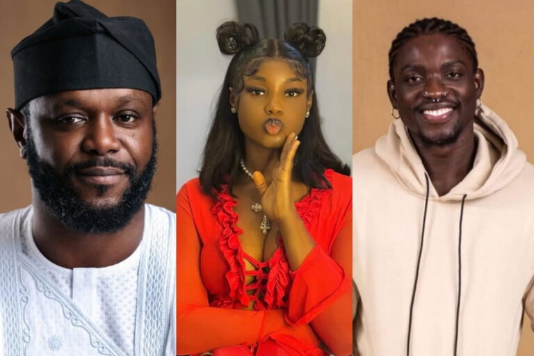 Seyi Tinubu Denies Claims Amid VDM–Mitchy Drama