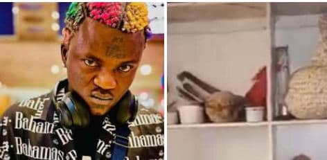 Portable Flaunts Bedroom, Internet Calls It Shrine